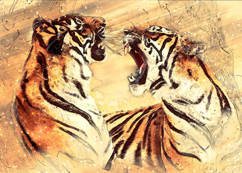 bengal tiger, cat, feline-3536892.jpg